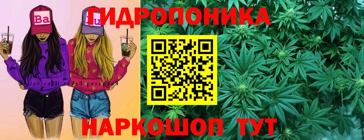 Марихуана марихуана  Канабис сатива  Вход с VPN  Чехов  Канабис ГИДРОПОН 
